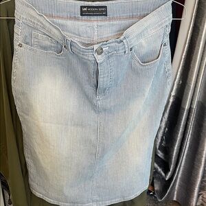 Lee Modern Series Light Blue Striped Skirt
